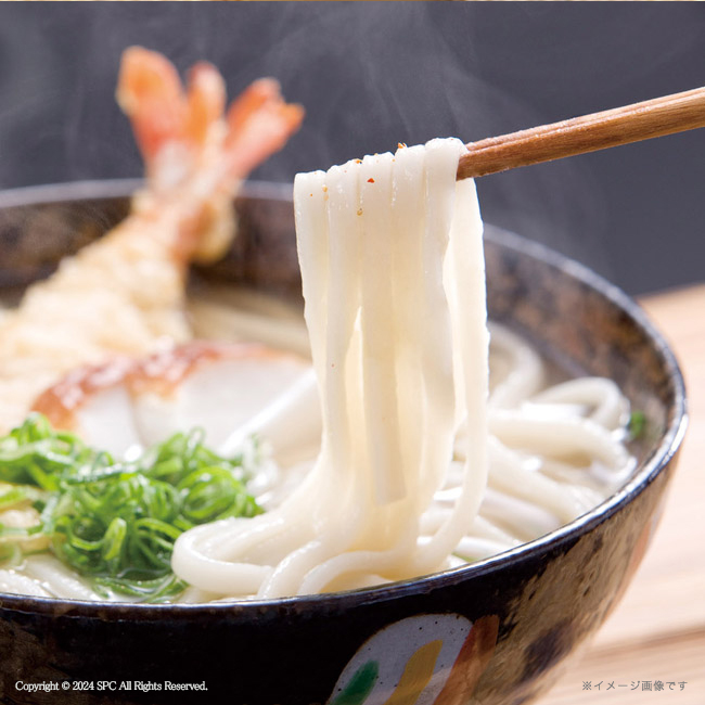匠風庵 カレーうどんを楽しむ讃岐うどん No.25