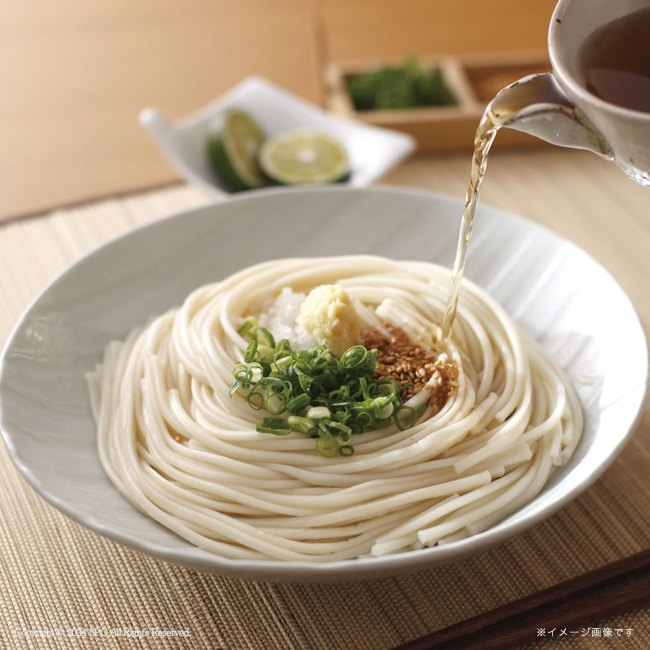匠風庵 カレーうどんを楽しむ讃岐うどん No.25