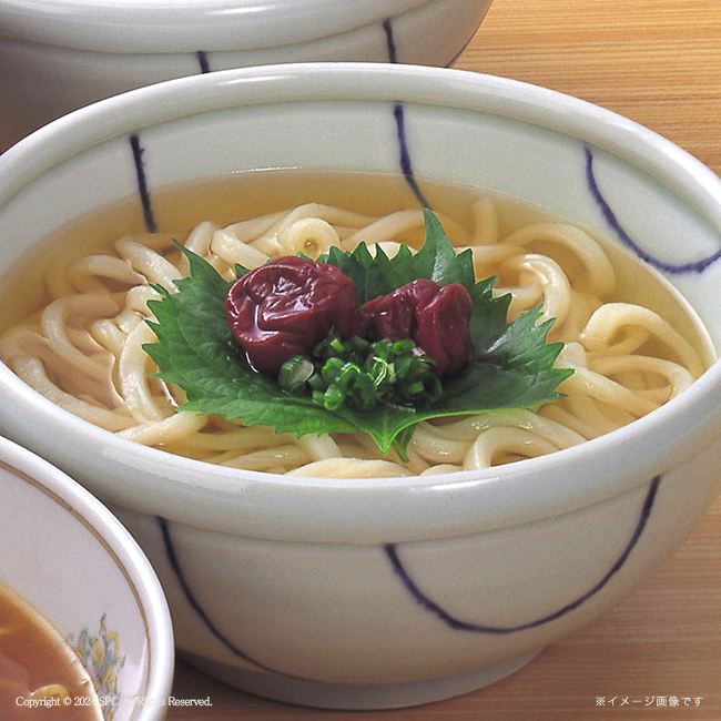 讃岐うどん No.30