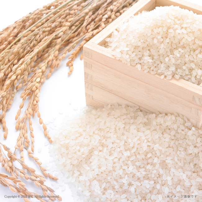 【送料無料】 鮭乃家　そのまま食べれる鮭切り身　金賞健康米セット　No.110