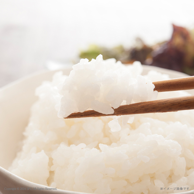 鮭乃家 そのまま食べれる鮭切り身 金賞健康米セット No.98