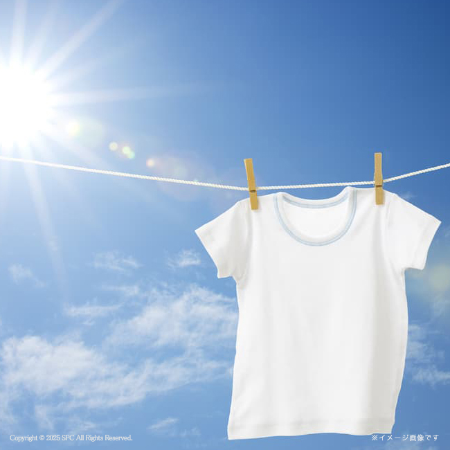 【送料無料】 ギフト工房　アリエール＆キッチンセット　No.25