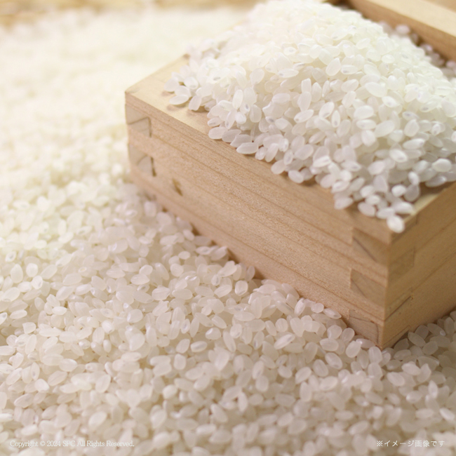 【送料無料】 初代田蔵　新潟県産こしひかりギフト　No.50