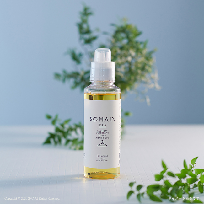 そまり　洗濯用液体石けん・フェイスタオル・ハンドタオル2Pセット　No.50｜特選ギフト｜